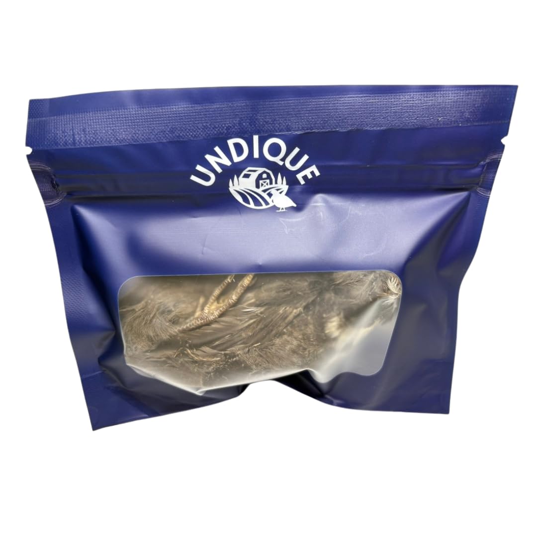 Quail Whole Pray dehydrated for Bird Dog Training or Falconry - Doot's Pet LLC Collars For A Cause