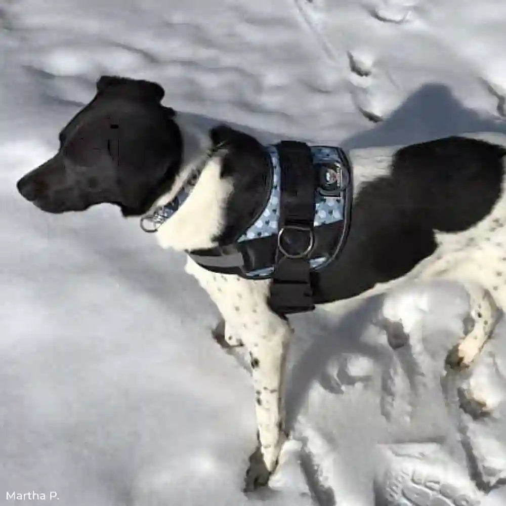 Joyride Harness - Winter Snowman Joyride Basic Essential Dog Harness 1.0 LG, XL