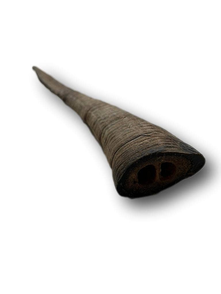 Doot's Chew Bar - Goat Horn Medium 9"-11"