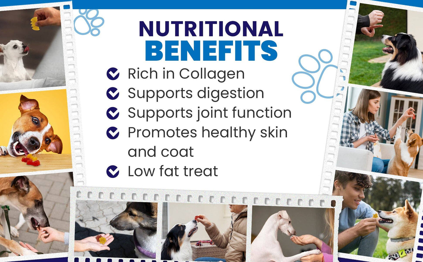 SodaPup Dog Toys - Dogtastic Jelly Shots Silicone Mold - Paw Shape - Doot's Pet LLC Collars For A Cause