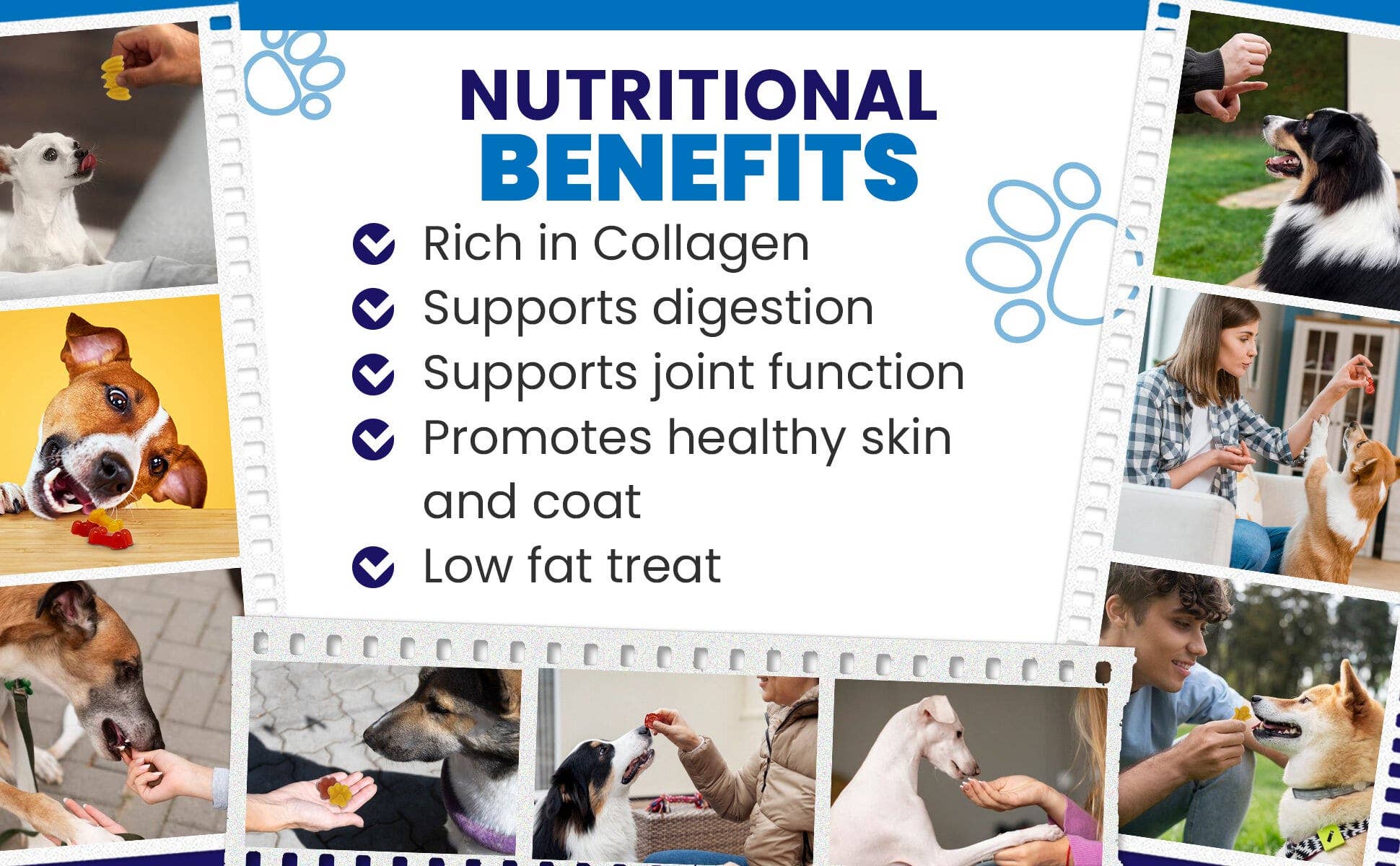 SodaPup Dog Toys - Dogtastic Jelly Shots Silicone Mold - Paw Shape - Doot's Pet LLC Collars For A Cause