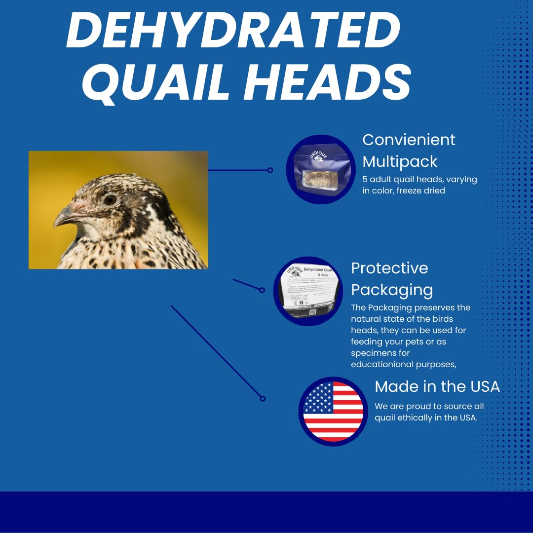 Fine Feline Feasts Quail Heads - Gourmet Cat Treats, High Protein, Nutrient-Dense, Promotes Natural Instincts, Healthy Skin & Coat, Minimal Ingredients Pack of 5 - Doot's Pet LLC Collars For A Cause