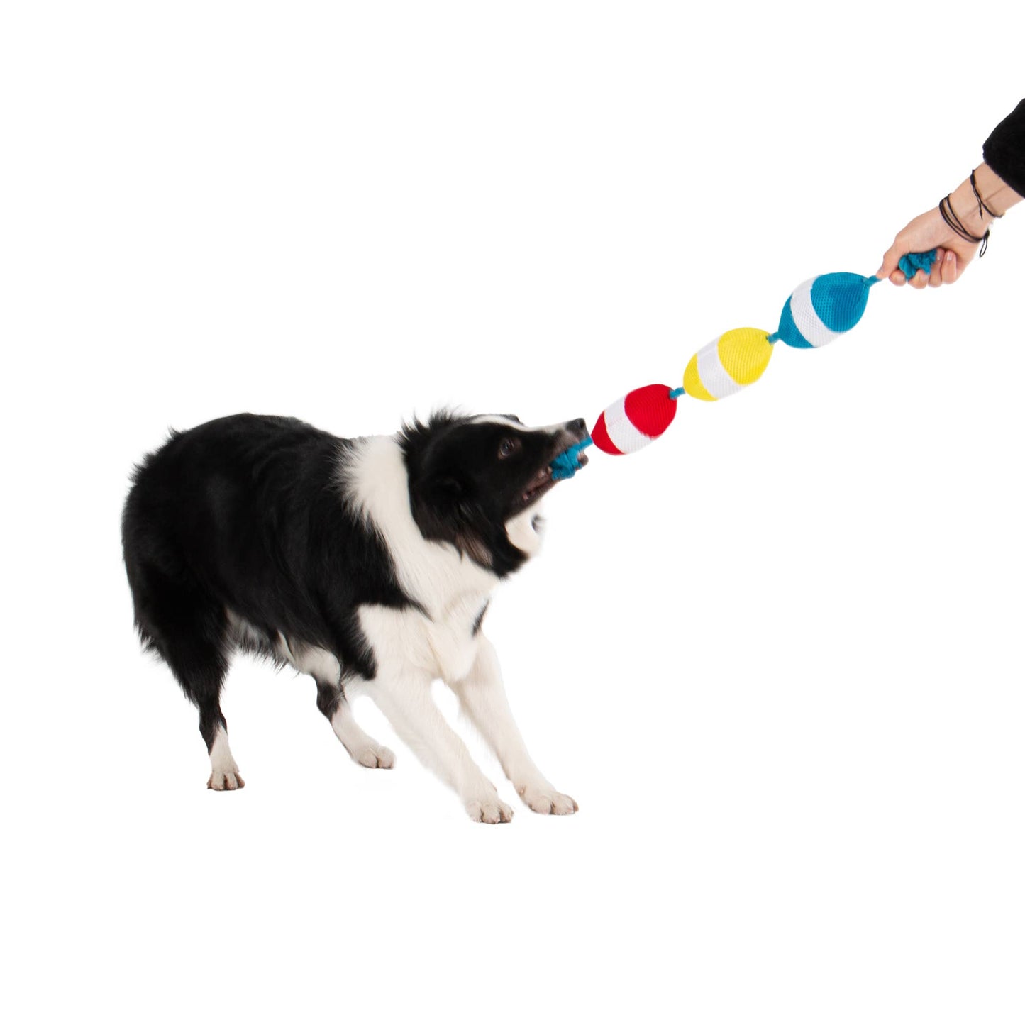 Original Territory - Territory Buoys Floating Water Play Tug Dog Toy - Doot's Pet LLC Collars For A Cause