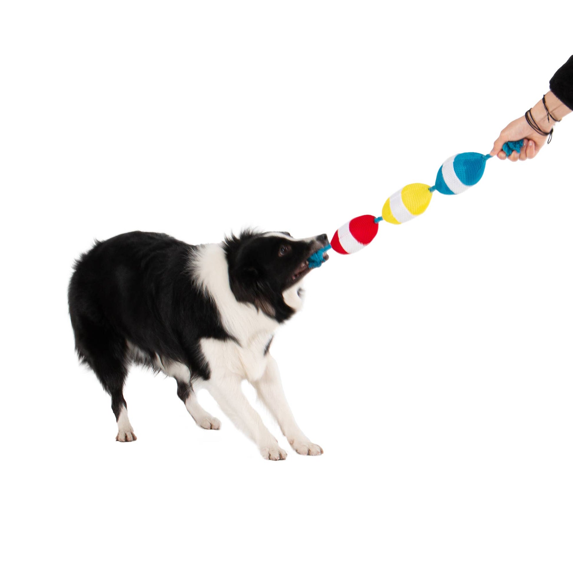 Original Territory - Territory Buoys Floating Water Play Tug Dog Toy - Doot's Pet LLC Collars For A Cause
