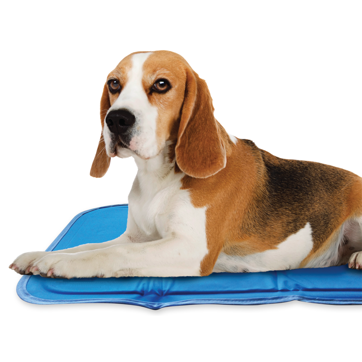 The Green Pet Shop - Cool Pet Pad