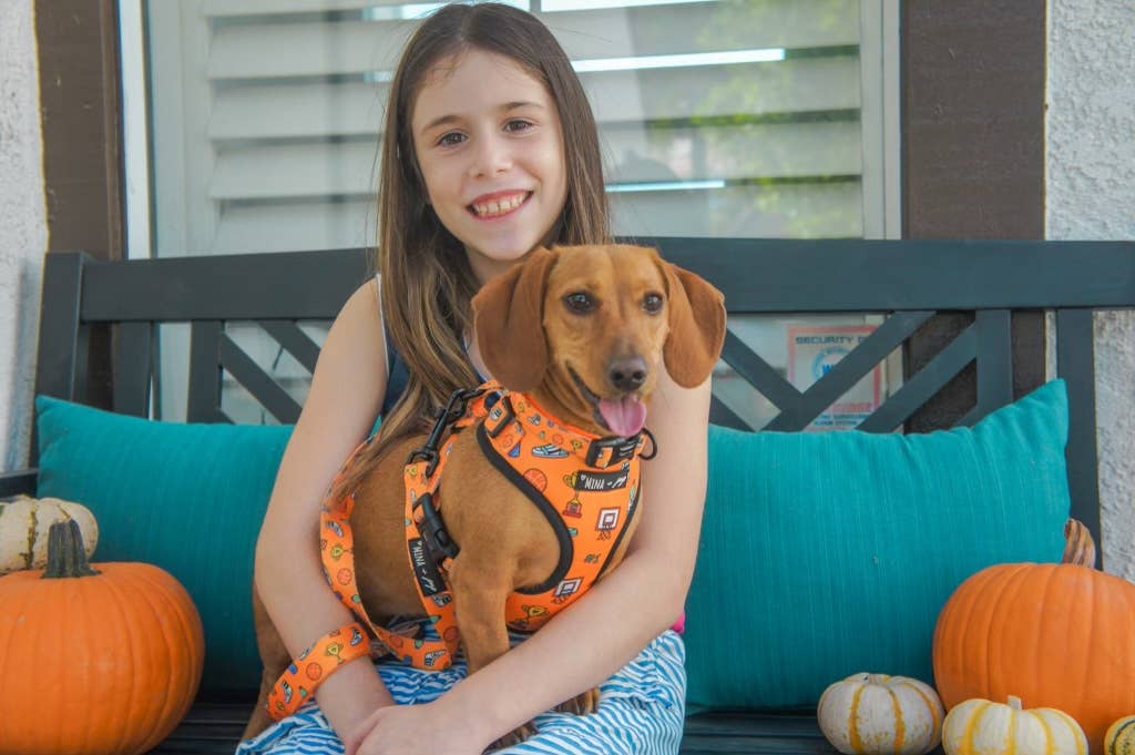 Mina + Pup - Got Game? Basketball and Sports Adjustable Dog Cat Harness
