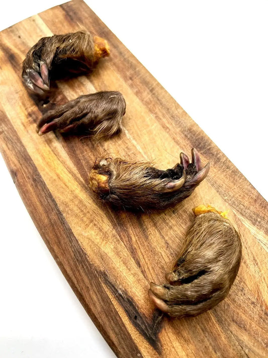 Doot's Chew Bar - What the raw - Beaver Paw