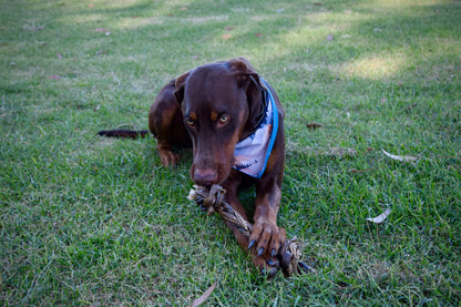 Doot's Chew Bar - Dogginstix - Braided Sticks Lamb Collagen Double Knots