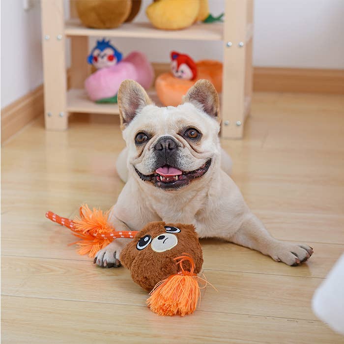 Hugsmart Products Inc - HugSmart Pet - Fluffy Tuggerz | Teddy Bear - Dog Rope Toy