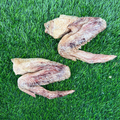 Doot's Chew Bar - Golden Nibbles - Duck Wing - Freeze-Dried Treat/Chew for Dogs