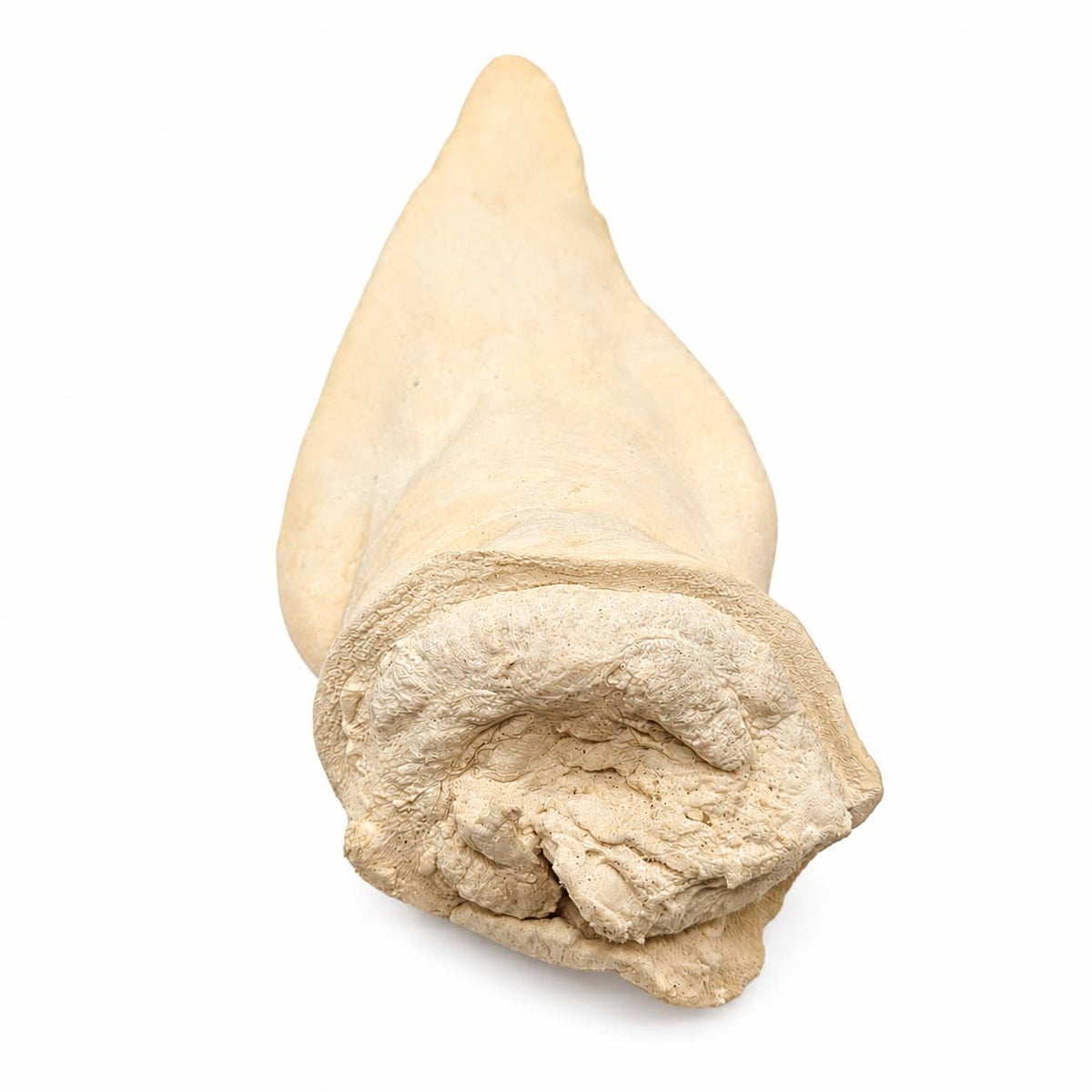 Doot's Chew Bar - White Puffed/Coned Water Buffalo Ear