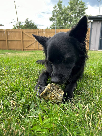 Doot's Chew Bar - Icelandic+ - Cod Skin Large Cube Dog Treat