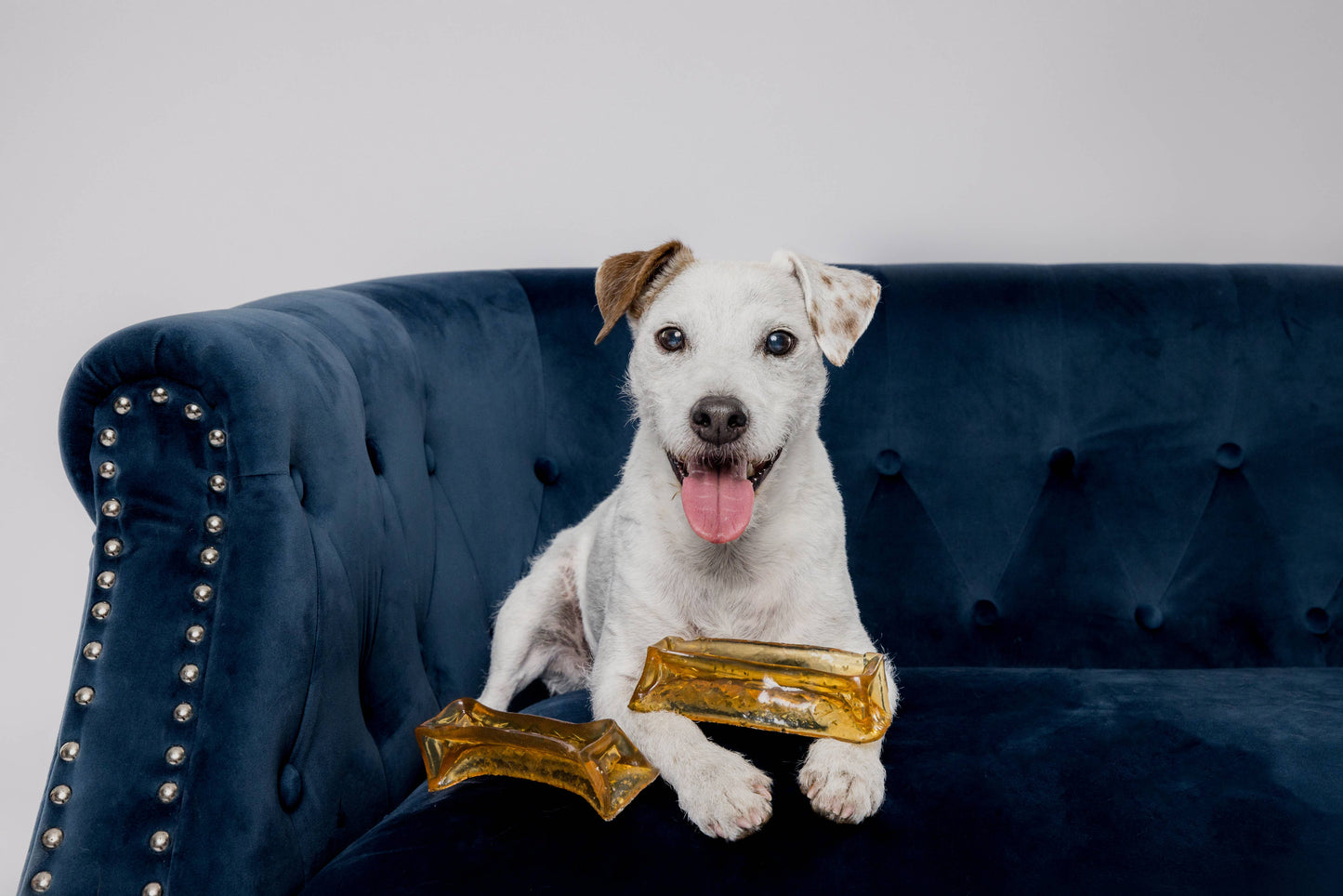 Wag & Bright Supply Co. - Mighty Marrows Collagen Dental Chew - Bacon