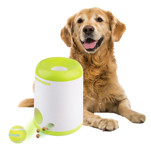 Interactive Fetch-N-Treat Dog Toy
