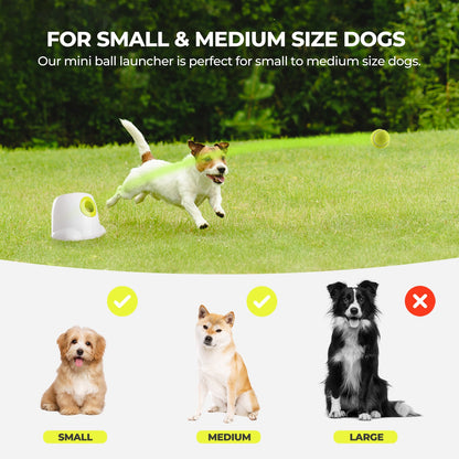 Mini Hyper Fetch Automatic Ball Launcher For Small Dogs - Doot's Pet LLC Collars For A Cause