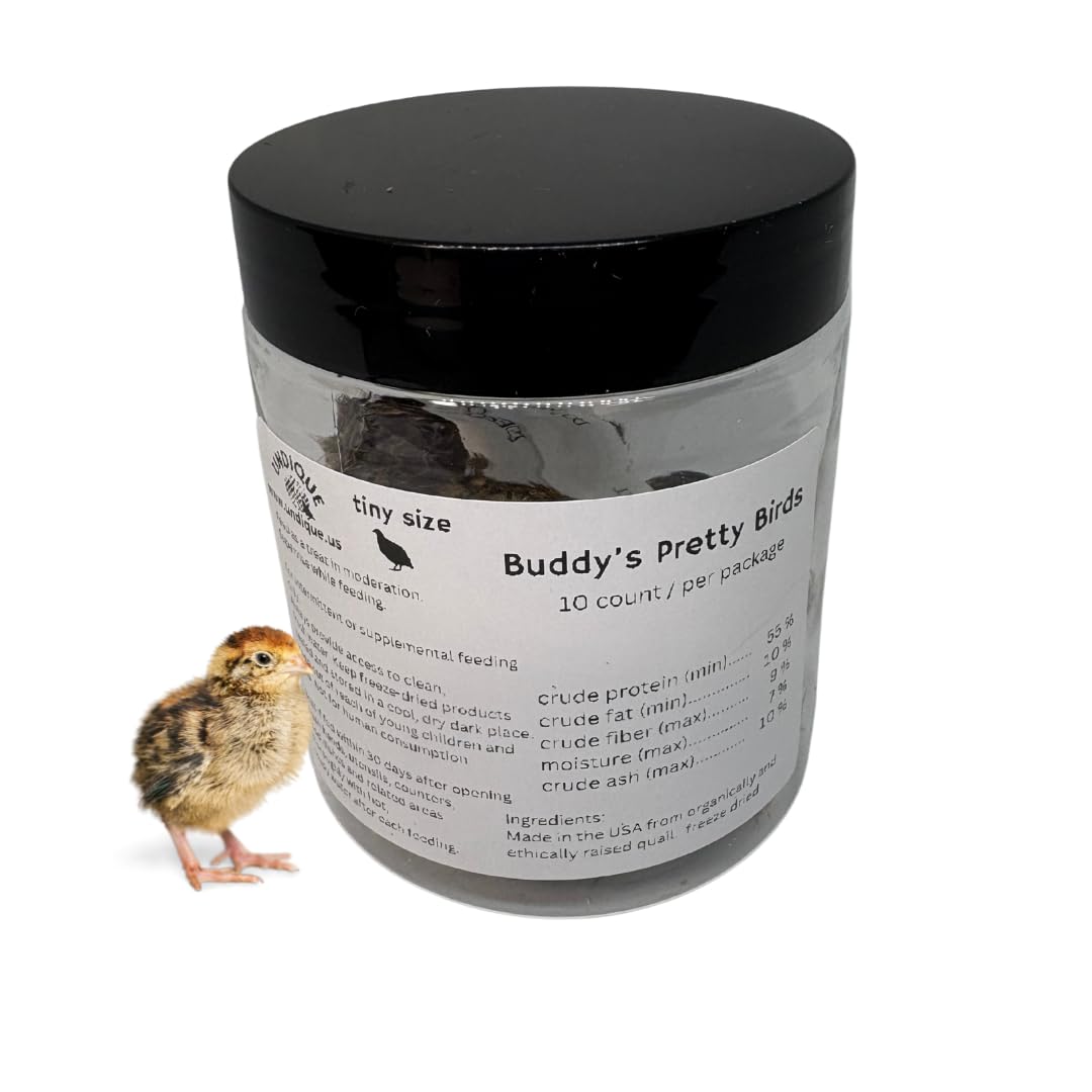 Quail Whole Chick Treats, 10 Count - Tiny, dehydrated Small Premium cat and Dog Treat - Doot's Pet LLC Collars For A Cause