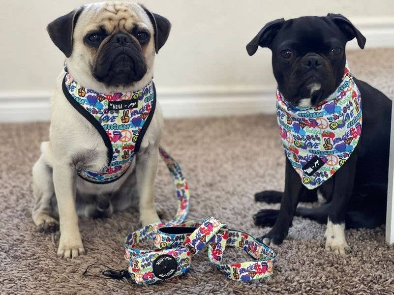 Mina + Pup - Attitude Collection Graffiti Comfort Dog and Cat Leash 5 FT