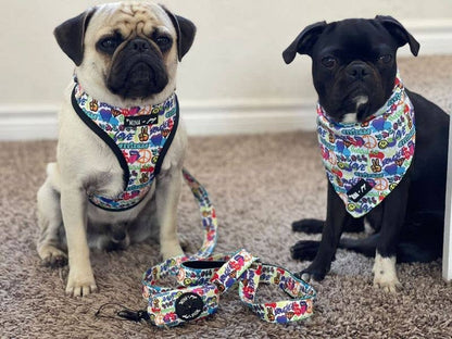 Mina + Pup - Attitude Collection Graffiti Comfort Dog and Cat Leash 5 FT