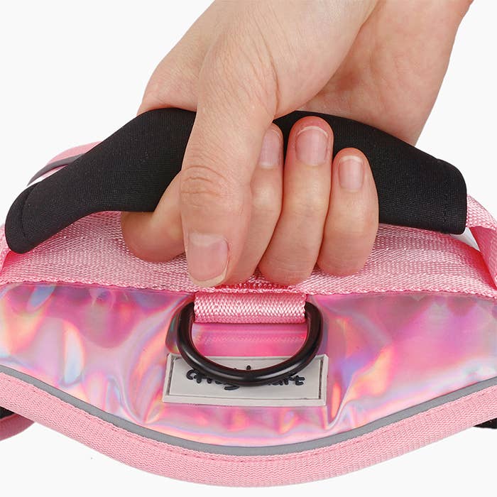 Hugsmart Products Inc - HugSmart Pet - No-Pull Dog Harness | Angel