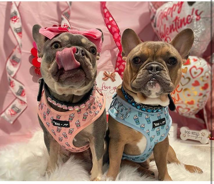 Mina + Pup - Pink Pupshake Adjustable Dog or Cat Harness