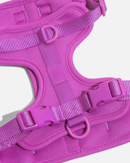 Wild One - Adjustable Comfort Dog Harness - Blush / LARGE