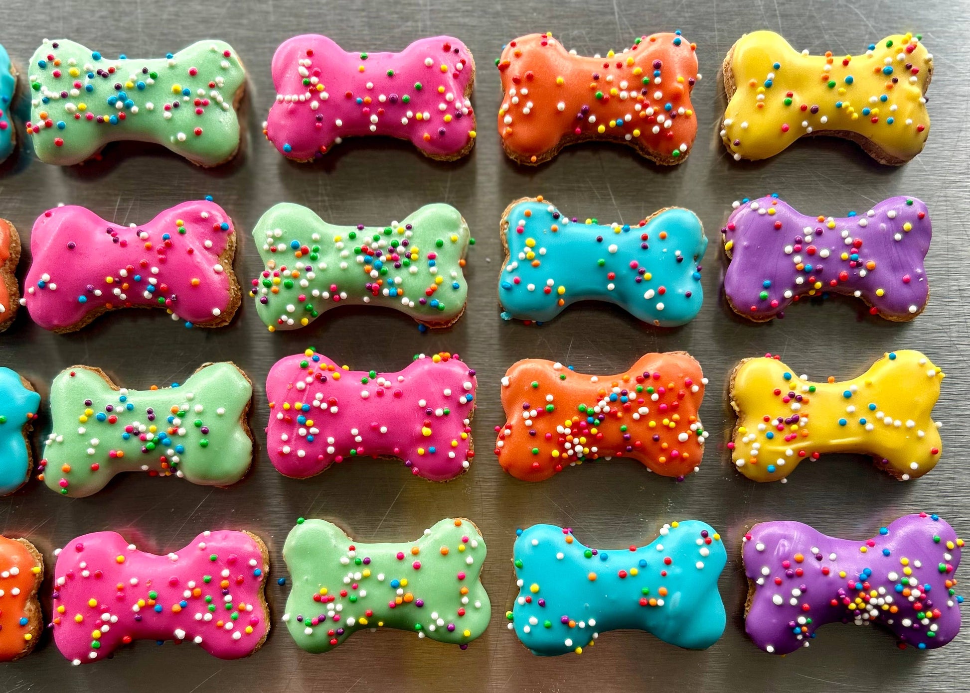 YumYum4DOGS - Mini Funsies bone dog treat- Single - Doot's Pet LLC Collars For A Cause