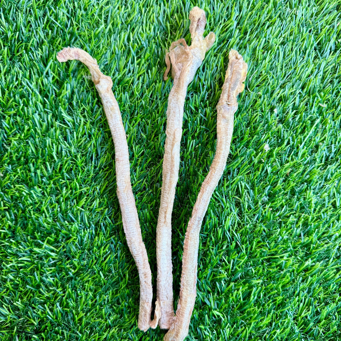Doot's Chew Bar - Golden Nibbles - Duck Trachea -  for Cats, Puppies, Small Dogs