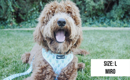 Mina + Pup - Blue Pupshake Adjustable Dog or Cat Harness