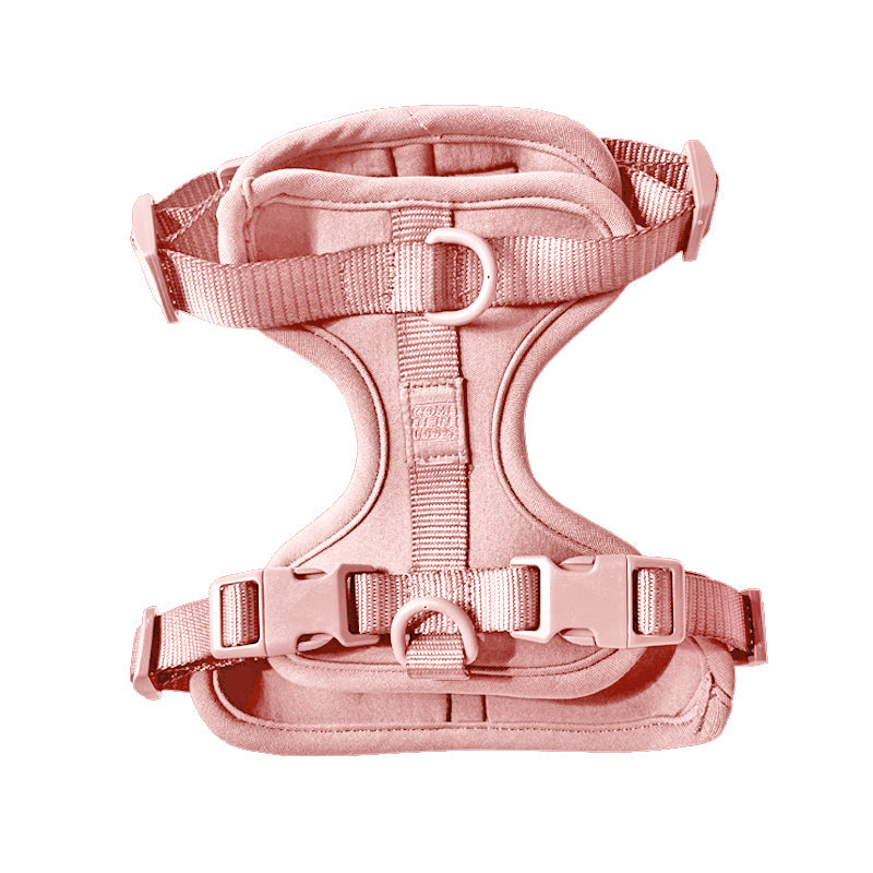 Come Here Buddy Harness