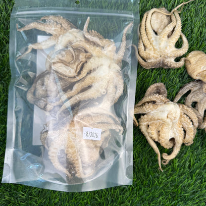 Doot's Chew Bar- Golden Nibbles - Baby Octopus - Single Piece Freeze Dried Treats for Dogs & Cat