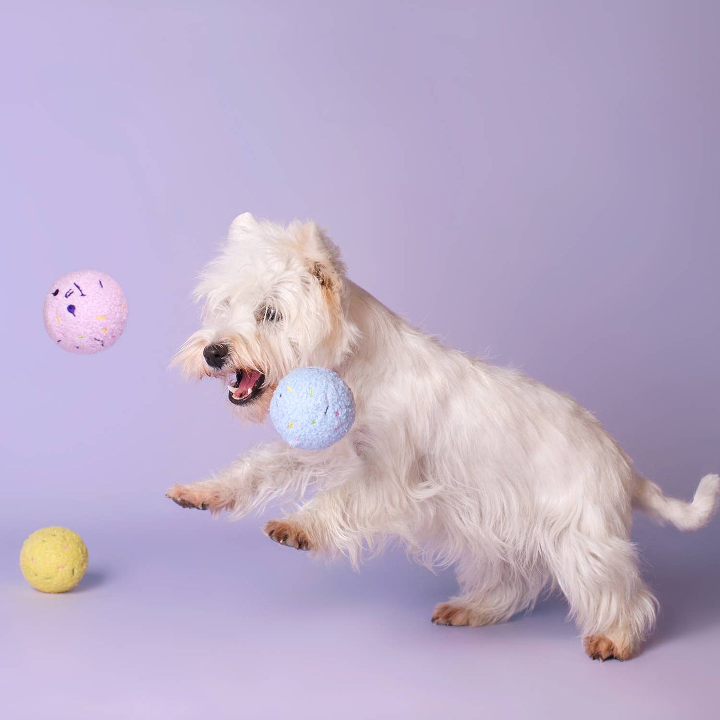 CHEWFFON - CHEWFFON Delightful Ice Cream Trio Dog Toys - Doot's Pet LLC Collars For A Cause