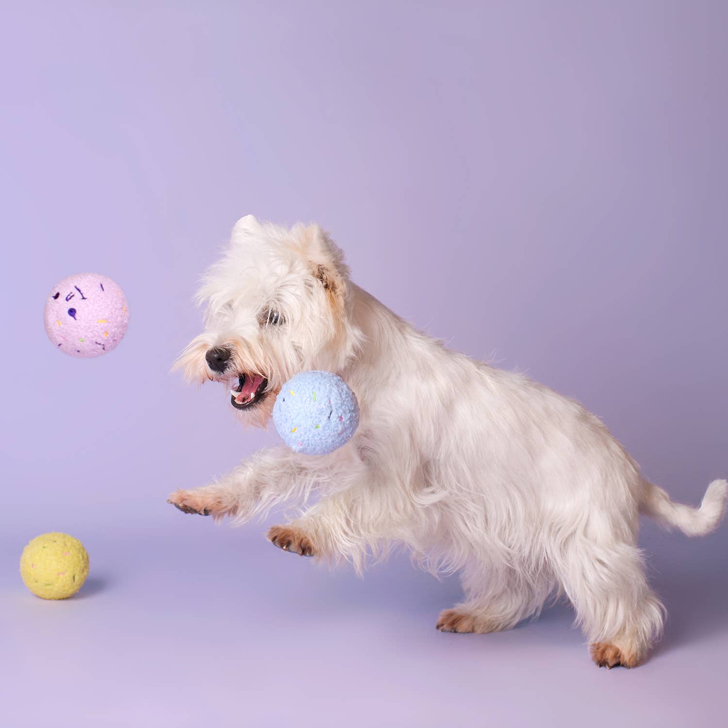 CHEWFFON - CHEWFFON Delightful Ice Cream Trio Dog Toys - Doot's Pet LLC Collars For A Cause