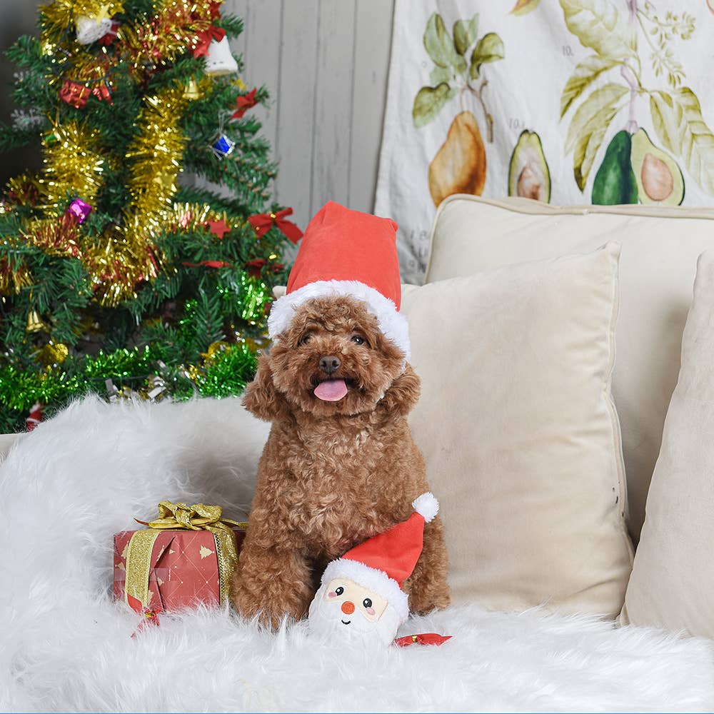 Hugsmart Products Inc - HugSmart Pet - Happy Woofmas | Santa - Dog Ball Toy