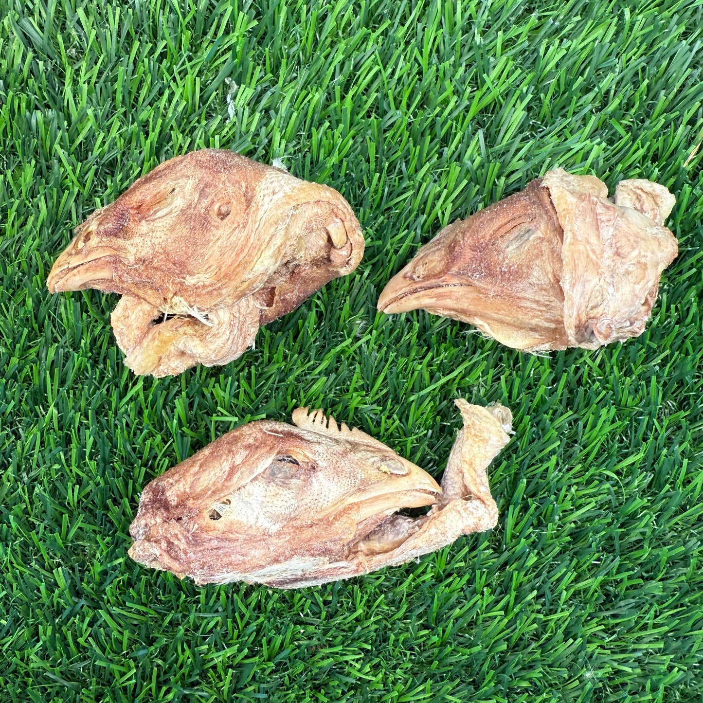 Doot's Chew Bar - Golden Nibbles- Chicken Head - Freeze-Dried Treat for Dogs