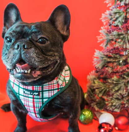 Mina + Pup - “You’re A Gift” Dog Cat Adjustable Harness
