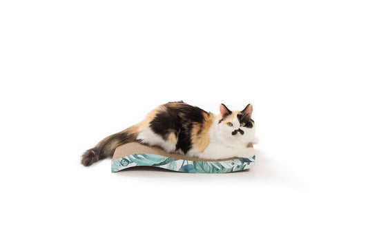 MOON-X USA, INC. - Ripple Reversible Scratcher (Go Green)