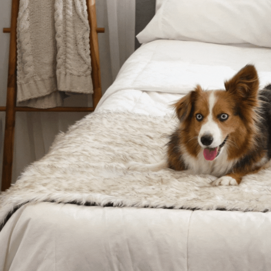 PupProtector™ Waterproof Bed Runner - White with Brown Accents - Doot's Pet LLC Collars For A Cause