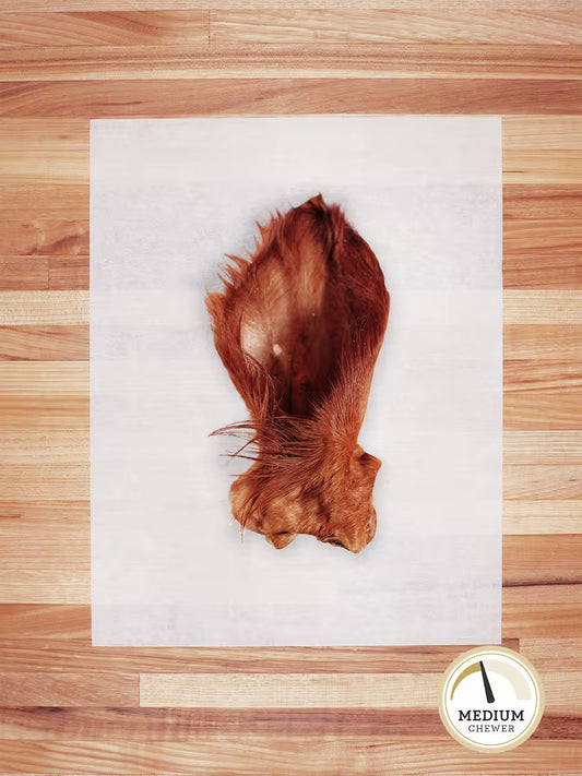 Beef Ear (Hairy) - Doot's Pet LLC Collars For A Cause