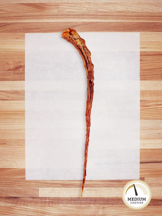 Beef Tail - Doot's Pet LLC Collars For A Cause