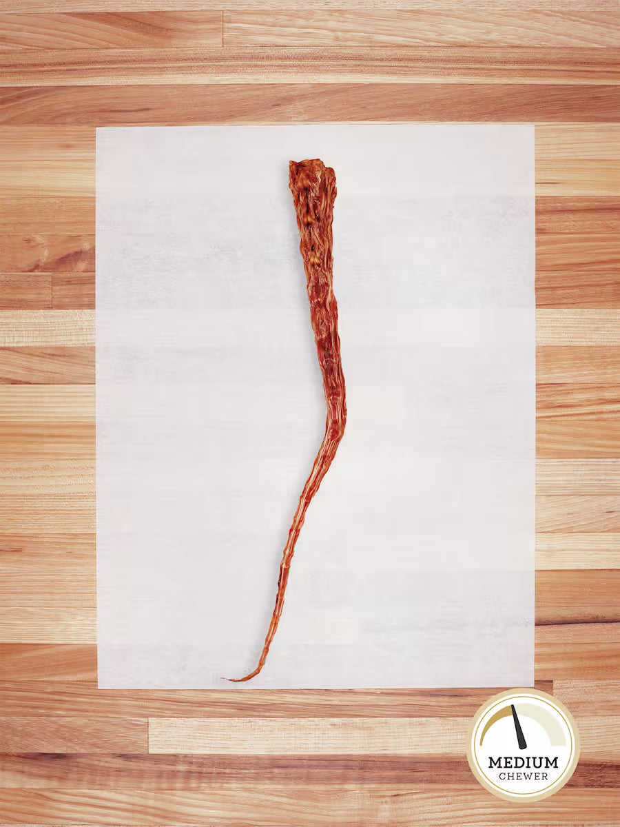 Beef Tail - Doot's Pet LLC Collars For A Cause