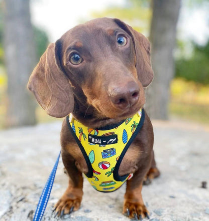 Mina + Pup - The Beach Bum Adjustable Dog or Cat Harness