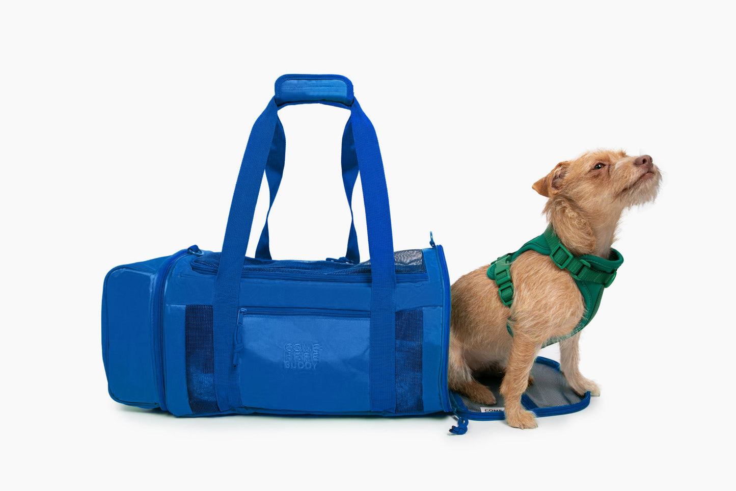 Travel Buddy - Pet Carrier