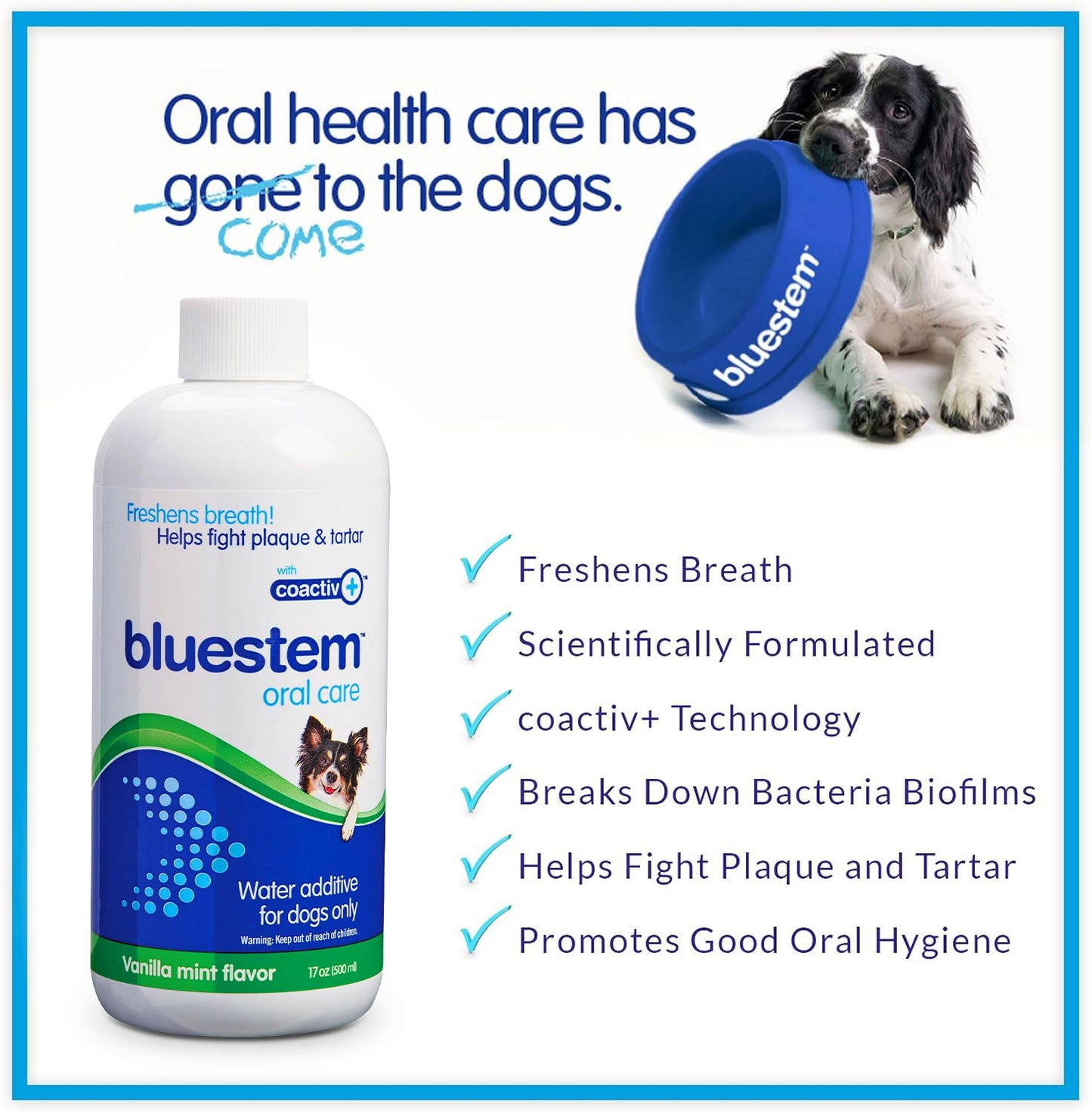 bluestem Water Additive for Dogs Only, Vanilla-Mint, 17 fl oz