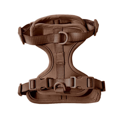 Come Here Buddy Harness