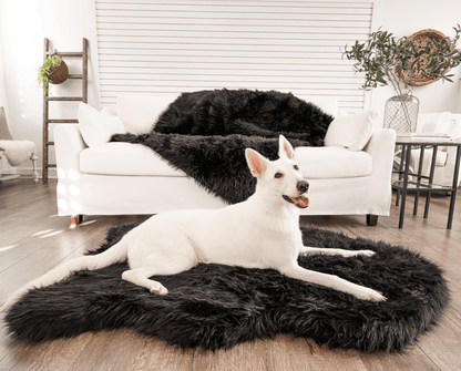 PupRug by Paw.com®  Faux Fur Orthopedic Dog Bed - Curve Midnight Black - Doot's Pet LLC Collars For A Cause