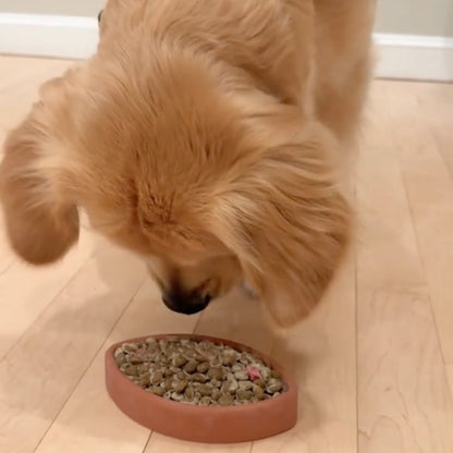 FreezFootball - Tough Enrichment Football Toy - Doot's Pet LLC Collars For A Cause