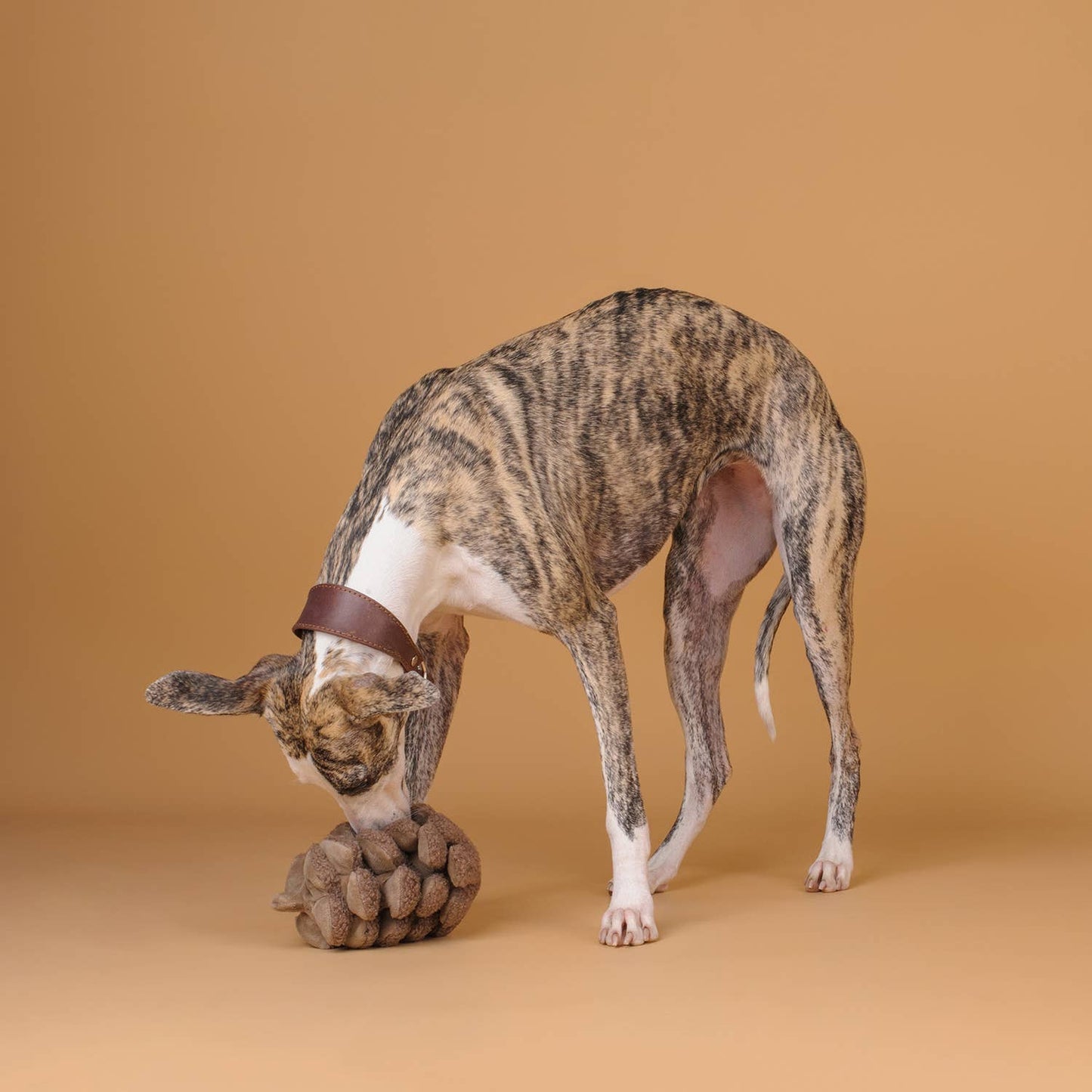 CHEWFFON - CHEWFFON Pinecone Snuffle & Squeak Dog Toy