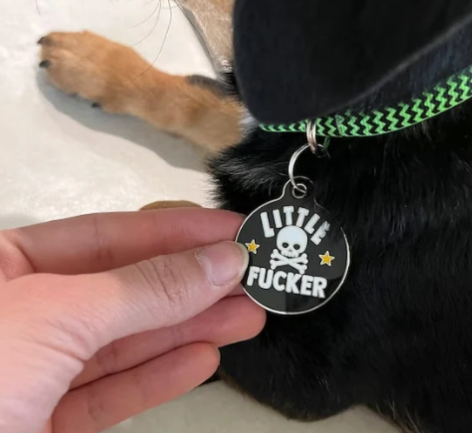 Bad Tags - Dog ID Tag with Personalized QR Code - Little Fucker - Engraved QR Code / Large 1.25"