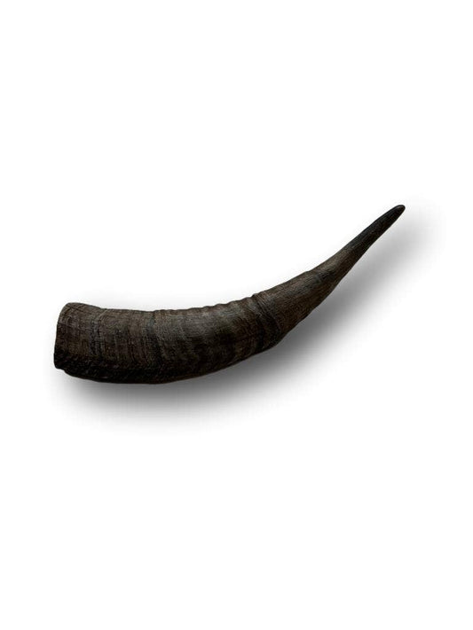 Doot's Chew Bar- Goat Horn Small 5"-7"