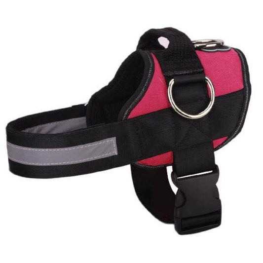 Joyride Harness - Joyride Basic Essential Dog Harness 1.0 - Pink Berry / XS, XXL